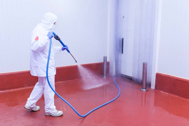 Best Driveway Pressure Washing  in Sebastian, FL